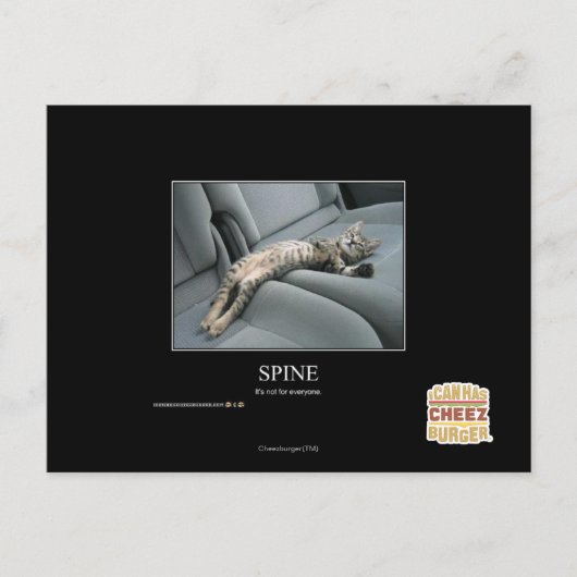 Carte Postale Spine (Devant)