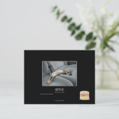 Carte Postale Spine (Debout devant)