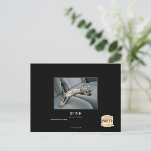 Carte Postale Spine (Debout devant)