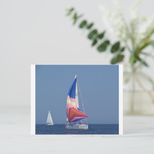 Carte Postale Spinnaker multicolore (Debout devant)