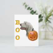 Carte Postale Spinone Italiano Boo (Debout devant)