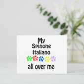 Carte Postale Spinone Italiano Marche Design (Debout devant)