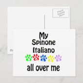 Carte Postale Spinone Italiano Marche Design (Devant / Derrière)