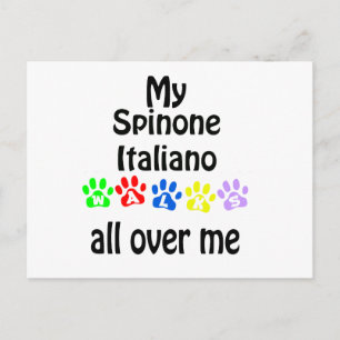 Carte Postale Spinone Italiano Marche Design