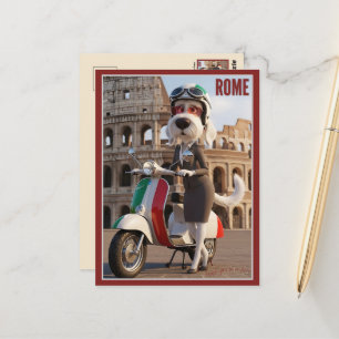 Carte Postale Spinone Italien Rome