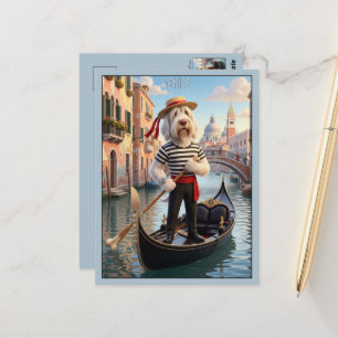 Carte Postale Spinone Italien Venise