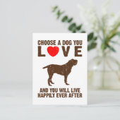 Carte Postale Spinone italienne (Debout devant)