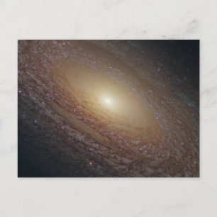Carte Postale Spiral Galaxy NGC 2841