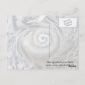 Carte postale Spirale Coquille Snail (Dos)