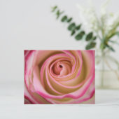 Carte Postale Spirale pétale Rose délicate (Debout devant)