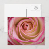 Carte Postale Spirale pétale Rose délicate (Devant / Derrière)
