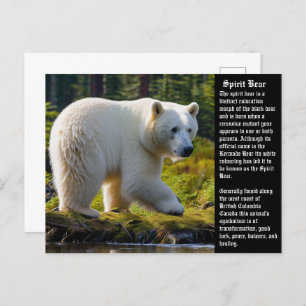 Carte postale Spirit Bear