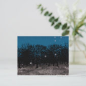 Carte Postale Spirit River (Debout devant)