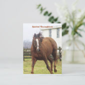Carte postale Spirituelle Thoroughbred (Debout devant)