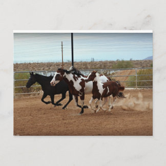 Carte Postale Spiritueux