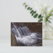 Carte Postale Splash (Debout devant)
