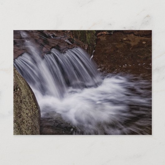 Carte Postale Splash (Devant)
