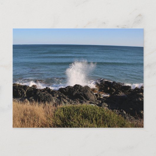 Carte Postale Splash! (Devant)