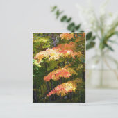 Carte Postale splendeur d'automne (Debout devant)