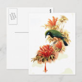 Carte Postale Splendeur tropicale (Devant / Derrière)