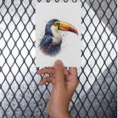 Carte Postale Splendeur tropicale Toucan