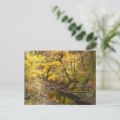 Carte Postale Splendor d'automne III (Debout devant)