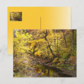 Carte Postale Splendor d'automne III (Devant / Derrière)
