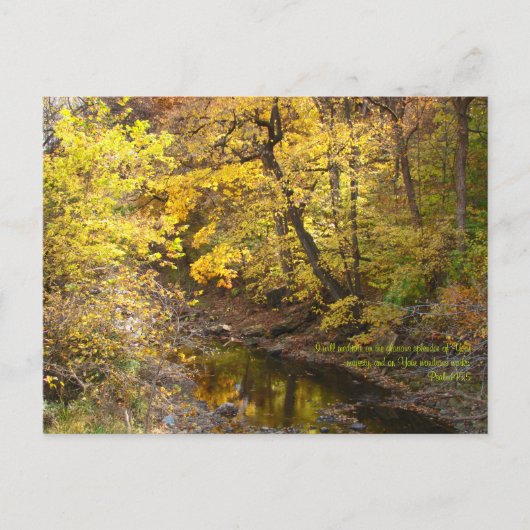 Carte Postale Splendor d'automne III (Devant)