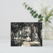 Carte Postale Spooky ghost in the woods image postcard (Debout devant)