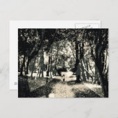 Carte Postale Spooky ghost in the woods image postcard (Devant / Derrière)