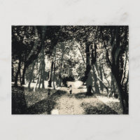 Spooky ghost in the woods image postcard