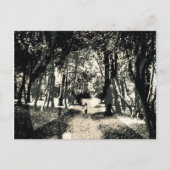 Carte Postale Spooky ghost in the woods image postcard (Devant)