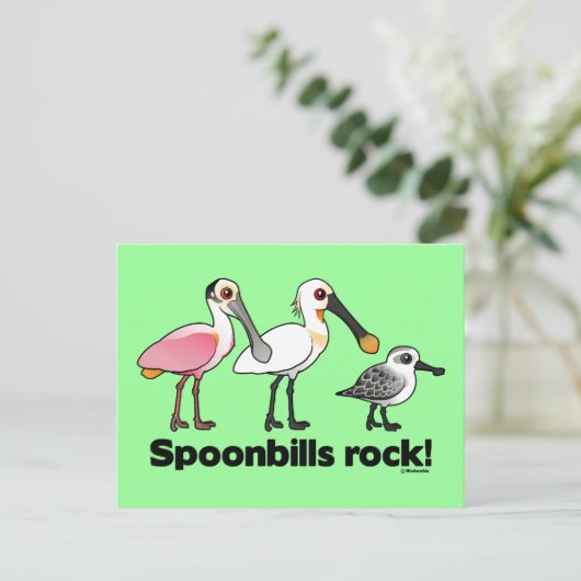 Carte Postale Spoonbill Rock ! (Debout devant)