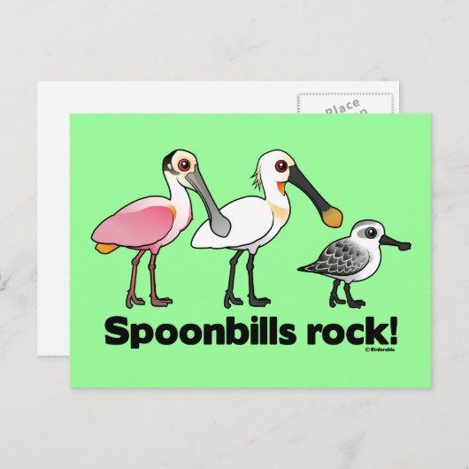Carte Postale Spoonbill Rock ! (Devant / Derrière)