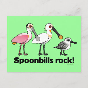 Carte Postale Spoonbill Rock !