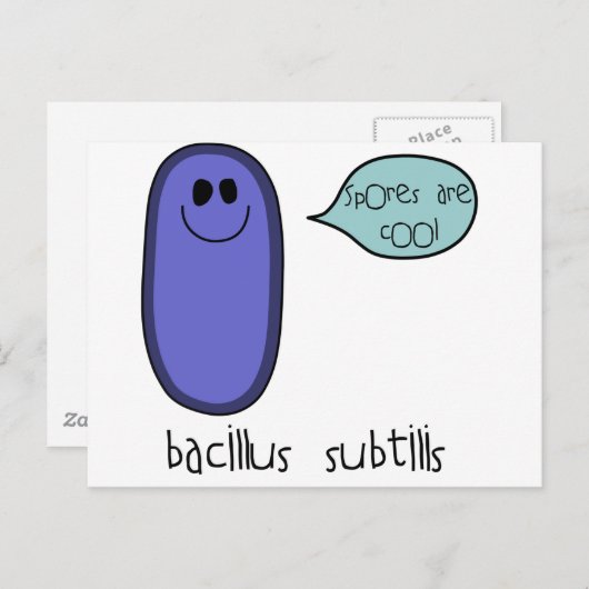 Carte Postale Spore (Devant / Derrière)