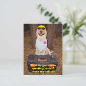 Carte Postale Sporting Breed ? (Debout devant)