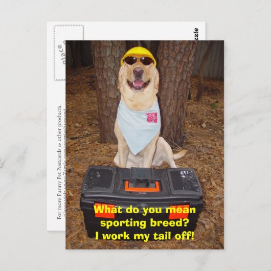 Carte Postale Sporting Breed ? (Devant / Derrière)