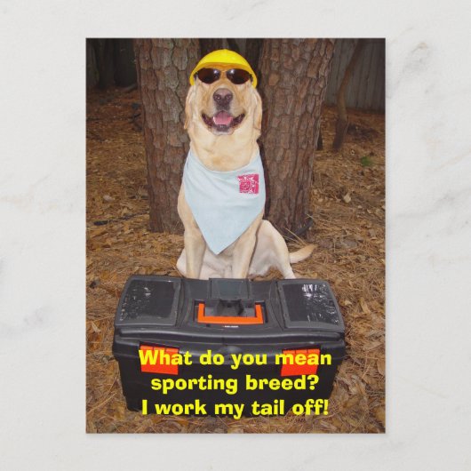 Carte Postale Sporting Breed ? (Devant)