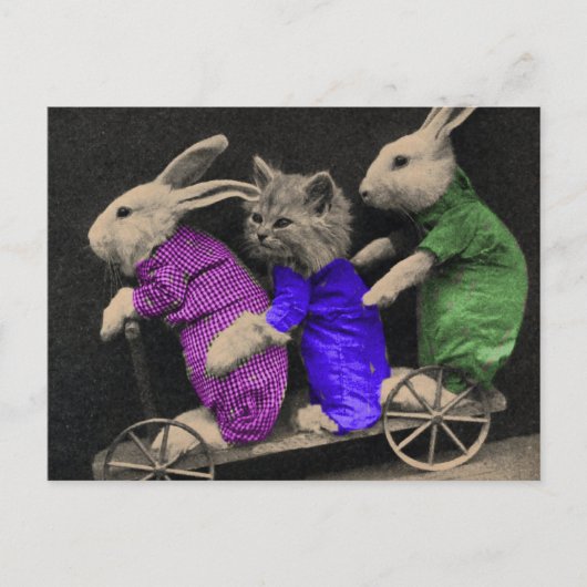 Carte Postale Sports extrêmes (Devant)