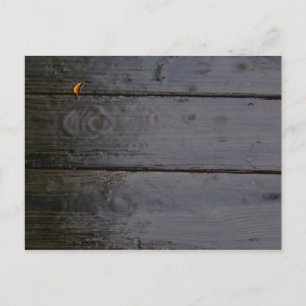 Carte postale "Spot of Color"