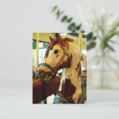 Carte Postale Spots (Debout devant)