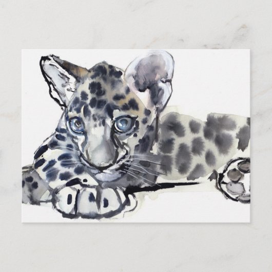 Carte Postale Spotty (Devant)