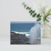 Carte Postale Spouting Horn (Debout devant)