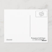 Carte Postale Spouting Horn (Dos)