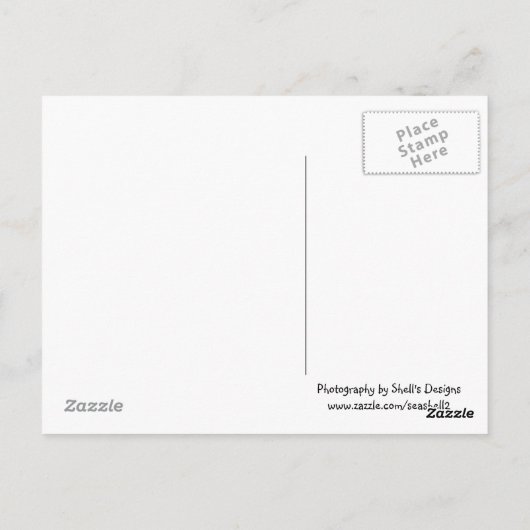 Carte Postale Spouting Horn (Dos)