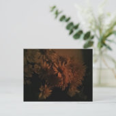 Carte Postale Spray chrysanthemums under dim lighting (Debout devant)