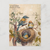 Carte Postale Spring Birds Vintage Ephemera (Devant)