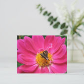 Carte postale Spring Bloom (Debout devant)
