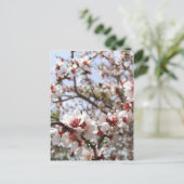 Carte postale Spring Blossom (Debout devant)